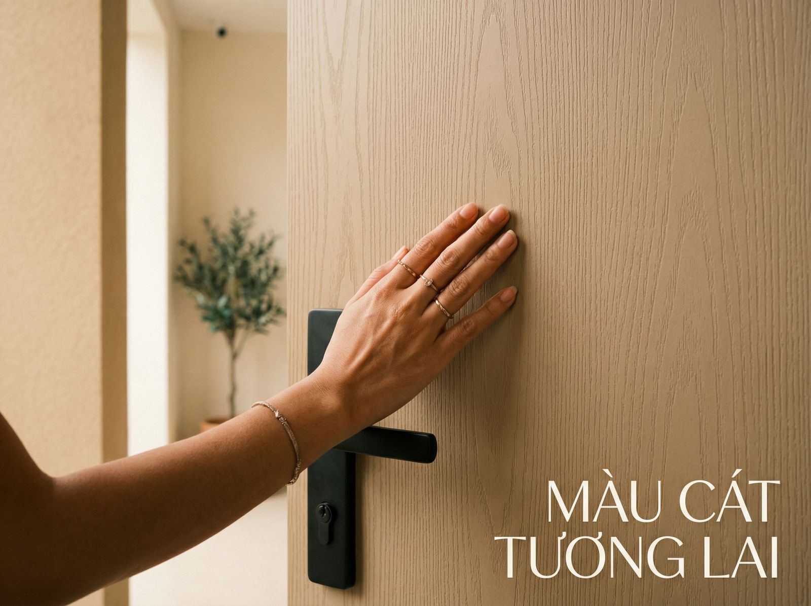 cua-go-composite-mau-cat-am-ap